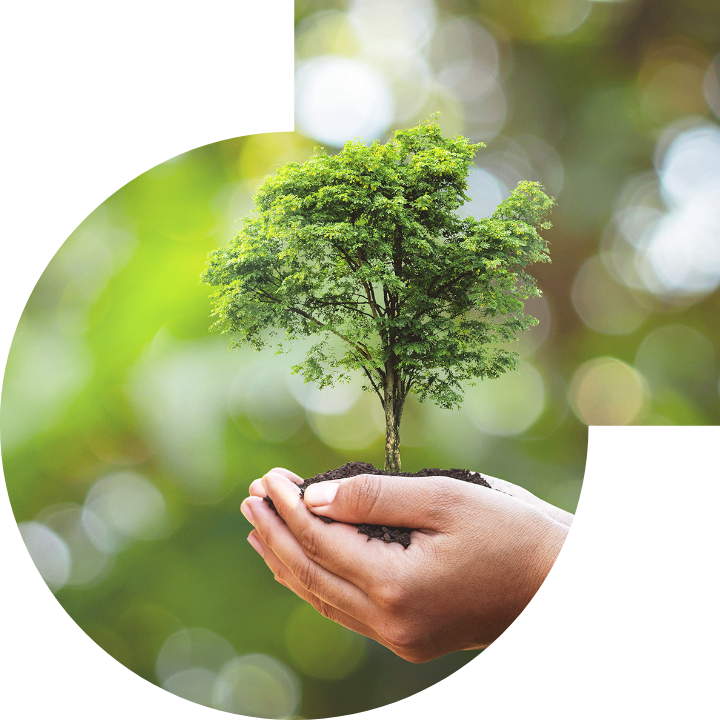 关怀人类、文化、环境与社会